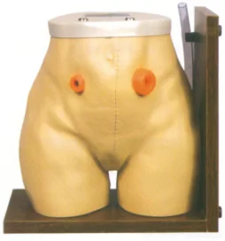 Mô hình: điều dưỡng (nâng cao)